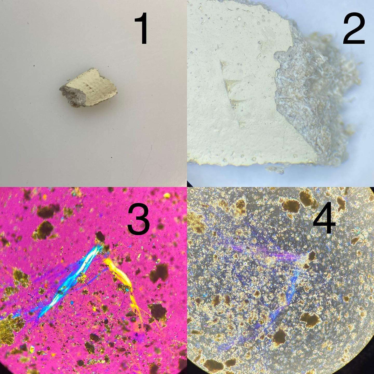 Steps to confirm asbestos (Chrysotile)
1. Look at submitted material (4” Pipe) 2. Inspect further under a stereoscope (notice suspicious fibers) 3. Prep onto a slide with 1.550 RI Oil, look at fiber morphology and other characteristics. 4. Confirm it’s Chrysotile by checking RI colors (magenta/blue) #asbestos #asbestosremoval #mold #bacteria #ecologicslab #environmentallab #environmentallaboratory #environmentaltesting #microscopy #plm #pcm #micro #chrysotile #chrysotileasbestos